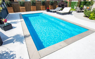 THE REFLECTION – A POPULAR PICK IN ST. LOUIS